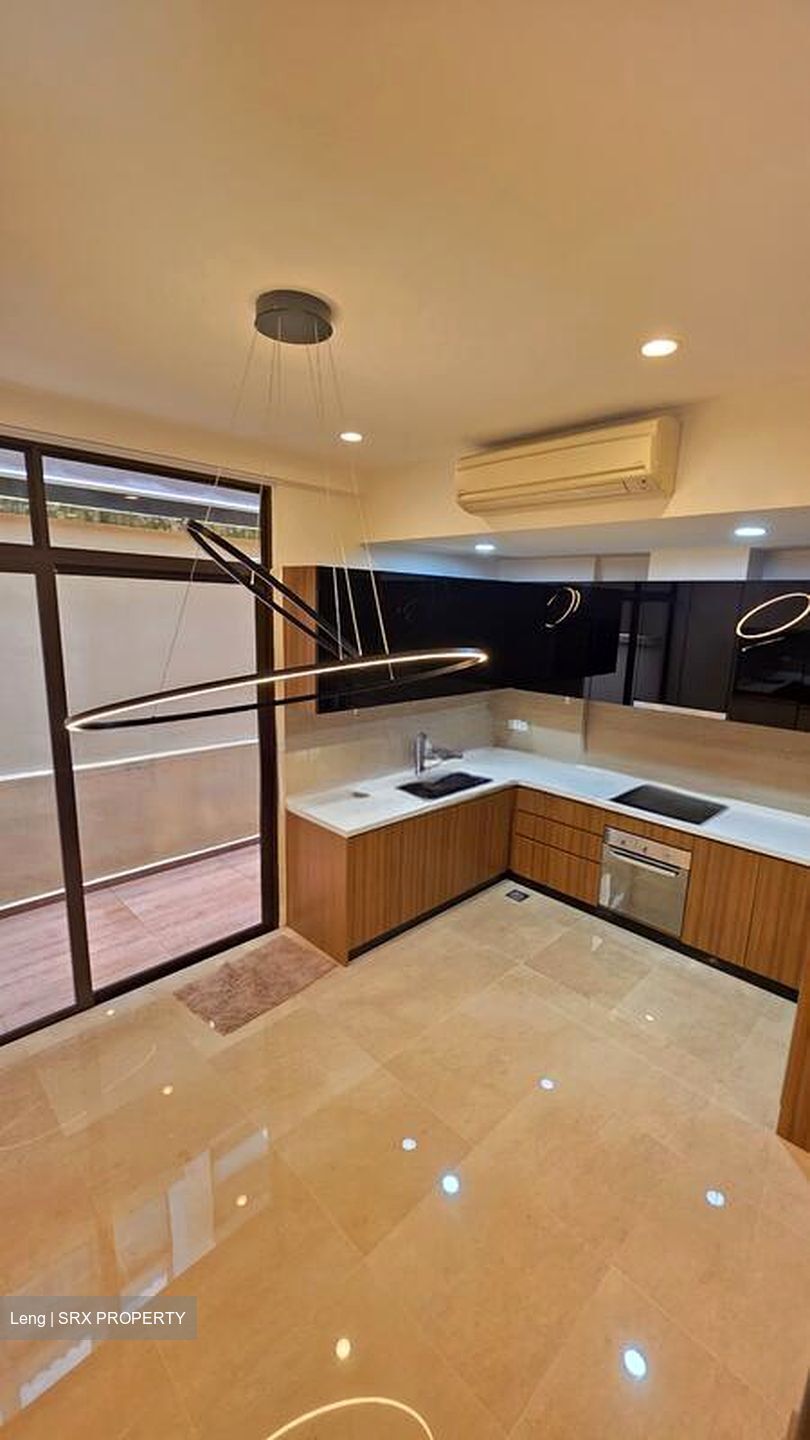 Holland Link (D10), Terrace #509647111